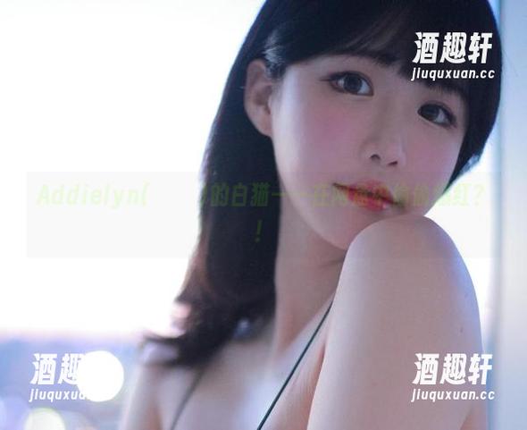 Addielyn(에디린)的白猫——在网盘中偷偷爆红？！